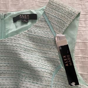 Alex Maria dress new with tags